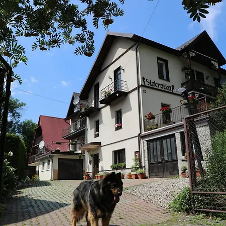 Stokrotka I W Centrum Szczawnicy * Szczawnica